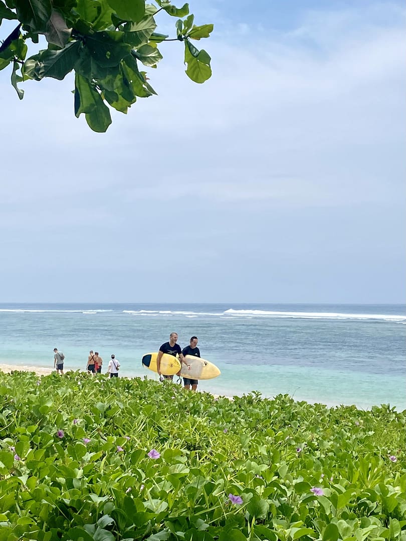 Bounce back entrepreneur